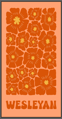 Wesleyan Beach Towel