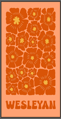 Wesleyan Beach Towel