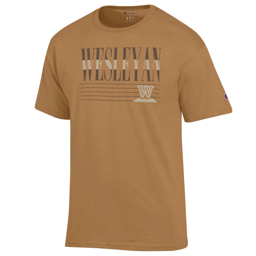 Champion Brown Wesleyan T-Shirt